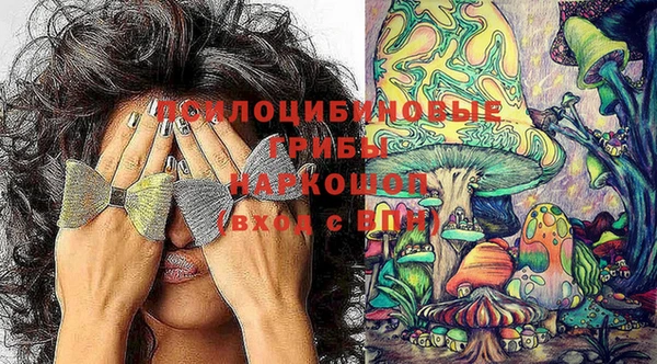 бошки Осташков