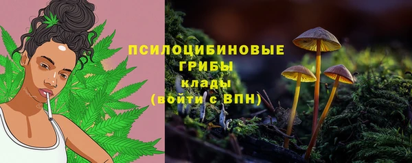 а пвп мука Нягань